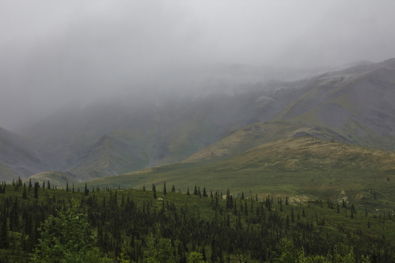 Drizzly, misty views along the Dempster Hwy