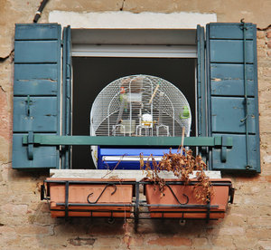 Venice Window 7