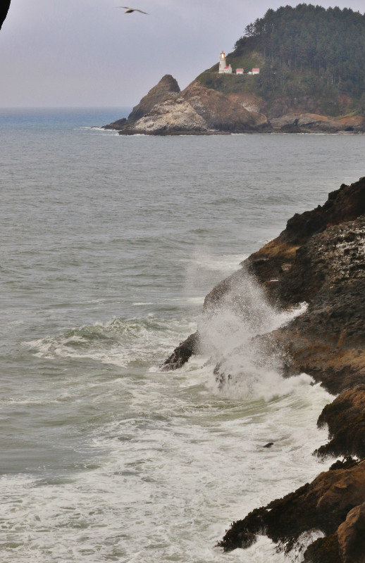 View of Haceta Head Lighthouse from Sea Lion Caves