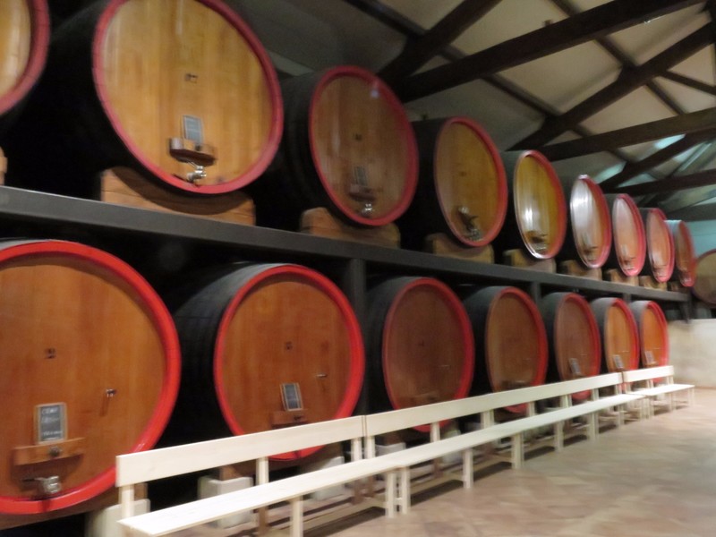 Casks of wine at Chateneuf du Pape
