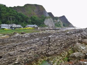 Our rocky coast, cottages in background