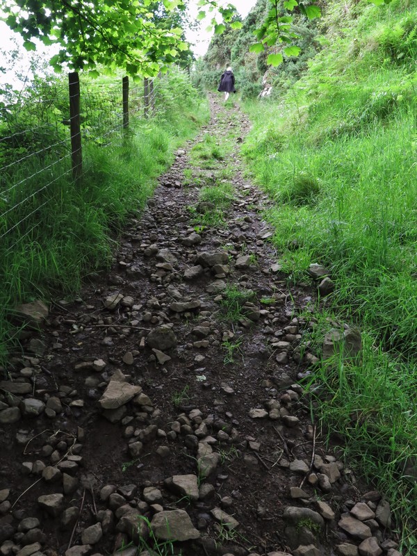 Path above St. Killian's