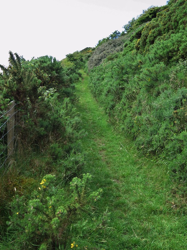 Upper path above St. Killian's
