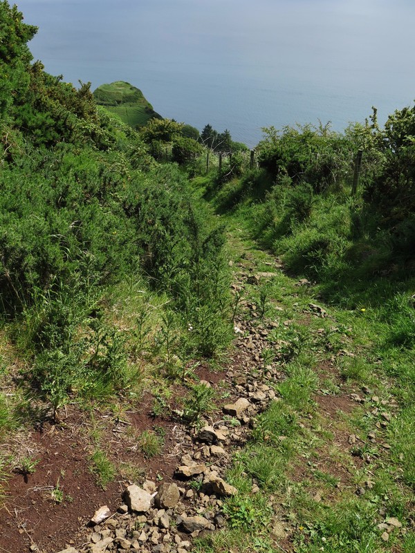 Higher path above St. Killian's