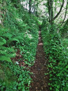 Path below St Killians