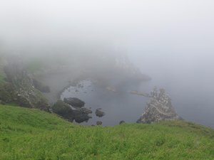 Foggy when we first arrived on Rathlin Island