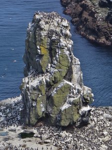 View of sea stack from the Seabird Centre, Rathlin Island
