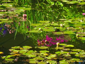 Monet's Japanese gardens, Giverny