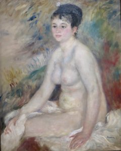 Renoir -After the Bath, 1876