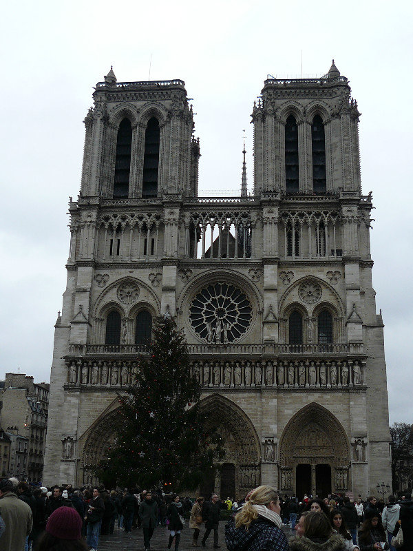 Christmas Tree at Notre Dame