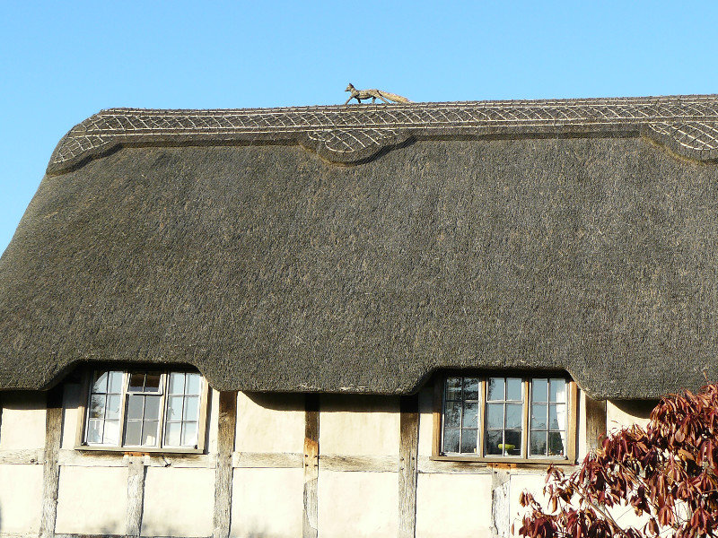 Thatched Roof House Near Broadway
