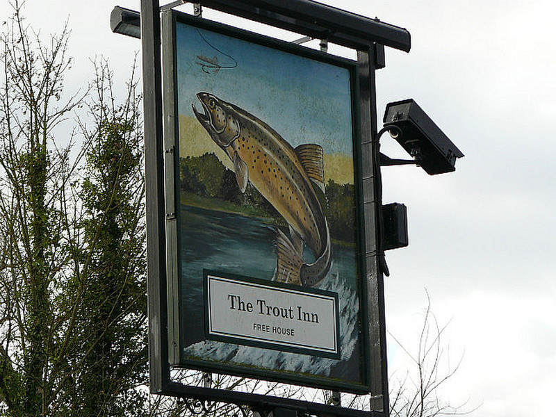 The Trout Pub Sign