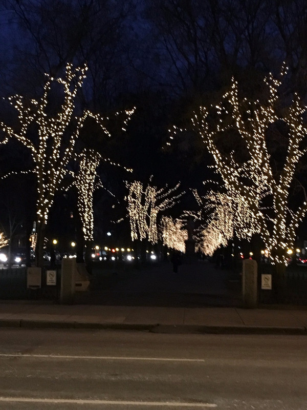 Commonwealth Avenue Lit Up at Night