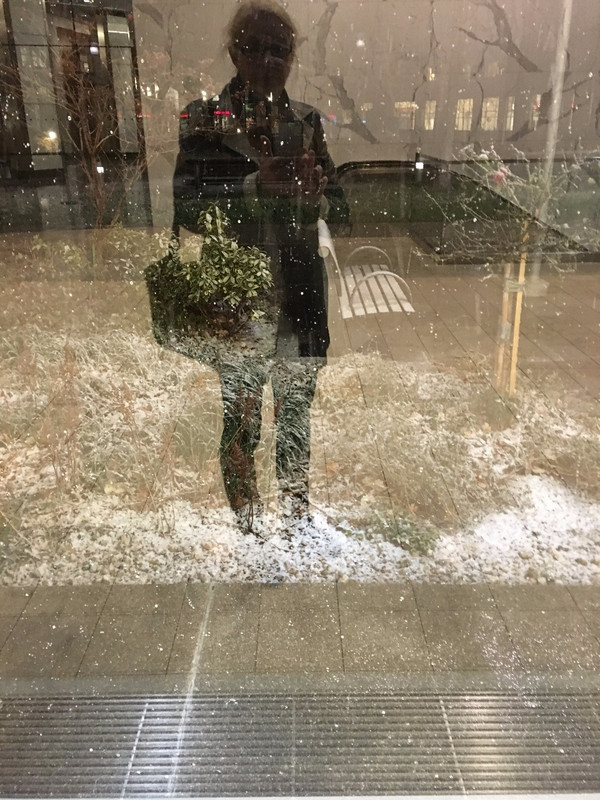 My Reflection in the SNow