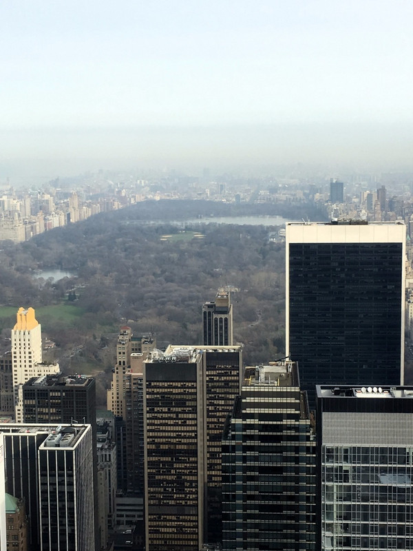 View of Central Park from Top of the Rock