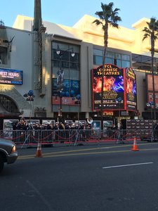 Premiere at the Chinese Theatre