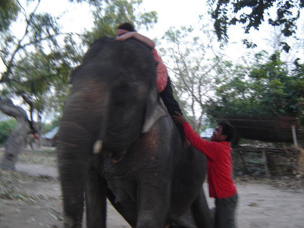 Getting on an elephant....