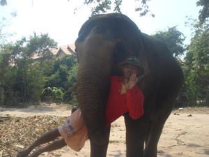 Docoon and her mahout Num