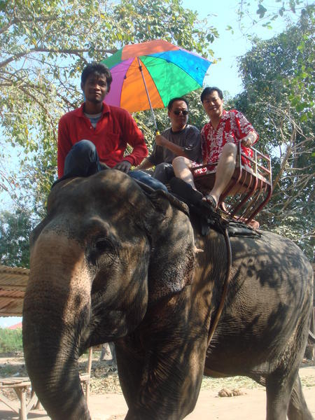 Liam the mahout