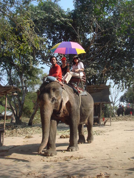 Mon the mahout