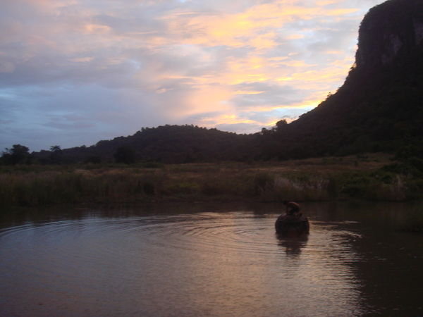 The first elephant into the lake at sunrise for her bath