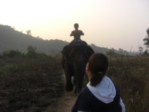 Heading back to the camp from the forest at sunrise...with Tia doing a pretty good genie impression