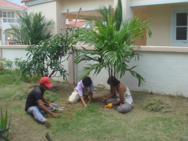 Tia, Aom and Mrs Noi  gardening