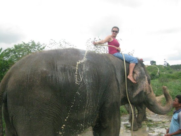 The Elephant Mahout Project
