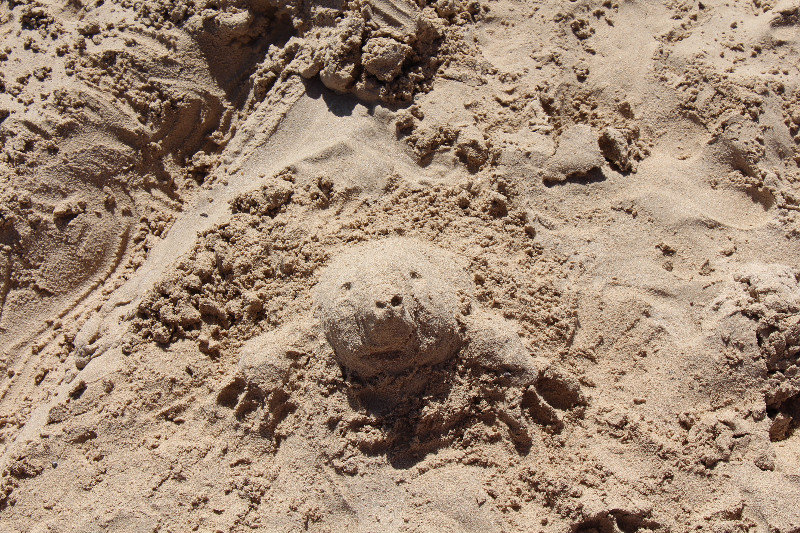 Reuben's sand sculpture "mole"