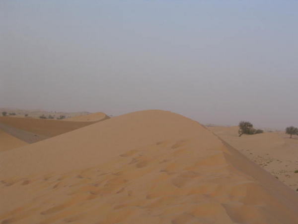 Top of a dune