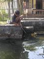Boy fishing on the backwaters
