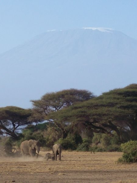Mount Kilamanjaro