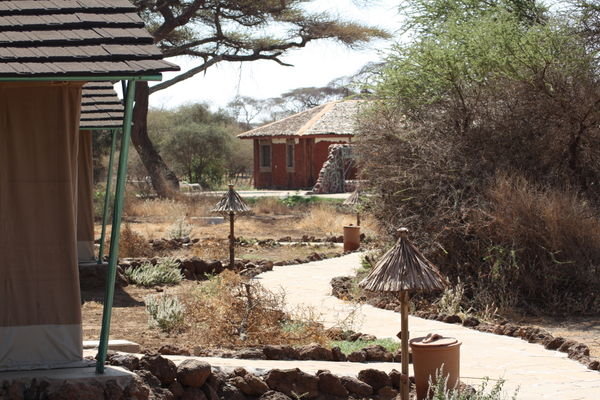 Amboseli Tented Camp Site