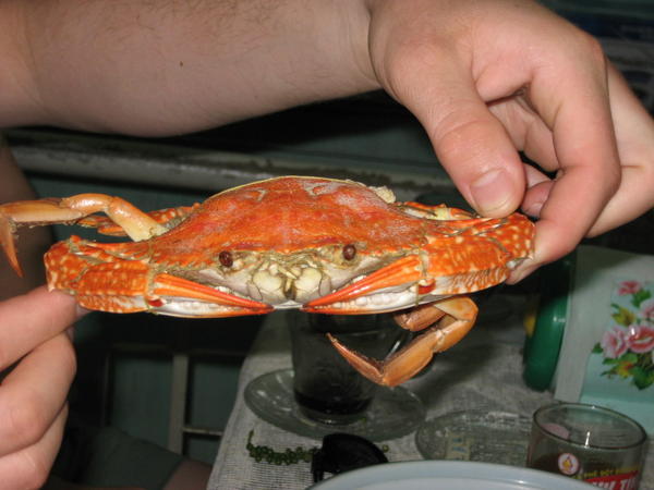 Cooked Crab