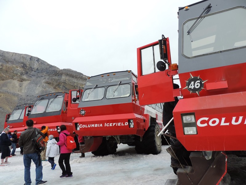 Glacier buses