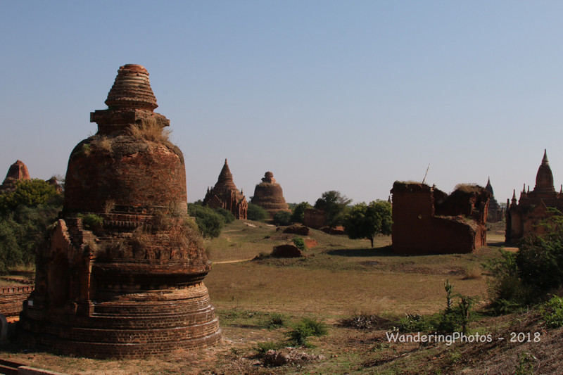 View across a few of the 3800 Stupas in Bagan