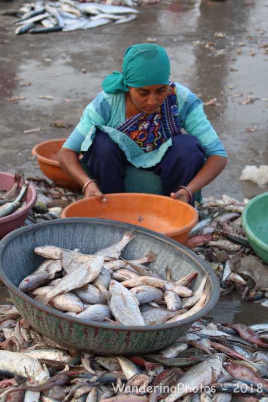 Diu Fish Market