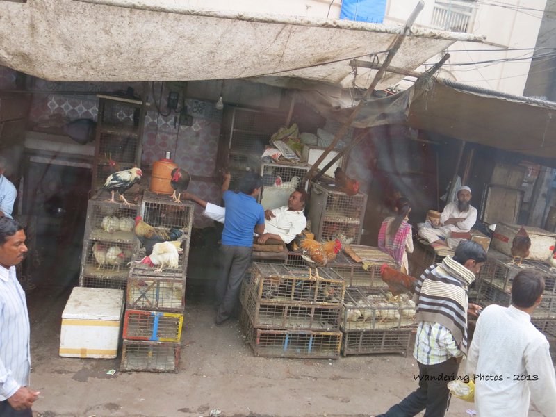 Chickens for sale in Old Delhi Bazaars