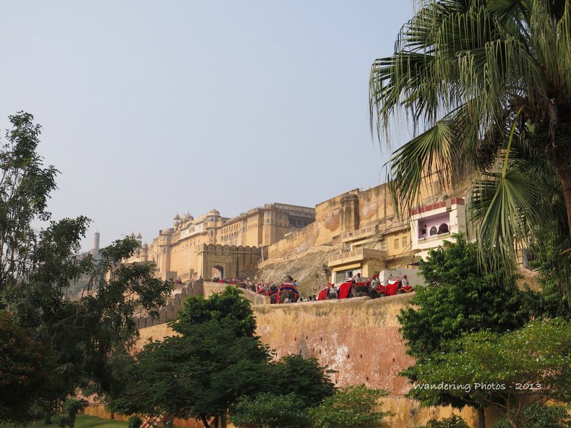 Amber Fort with elephants walking up the path