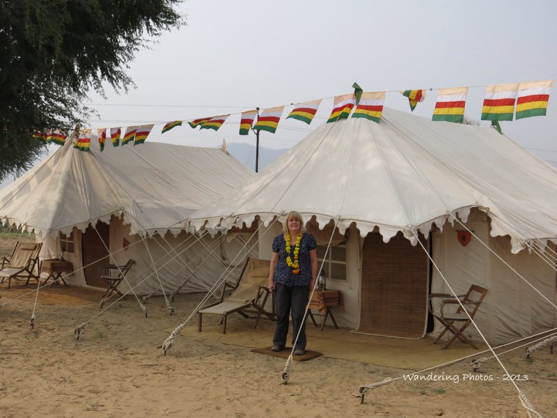 Our tent in the Royal Jodhpur Camp