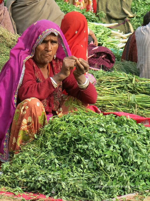 Locals in colourful saris selling vegetables