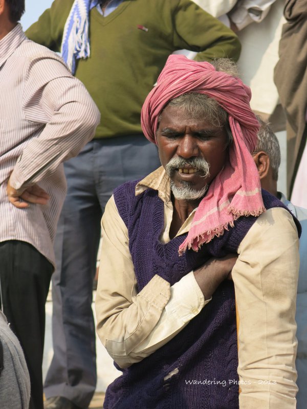 A local tribesman at the Pushkar Camel Fair