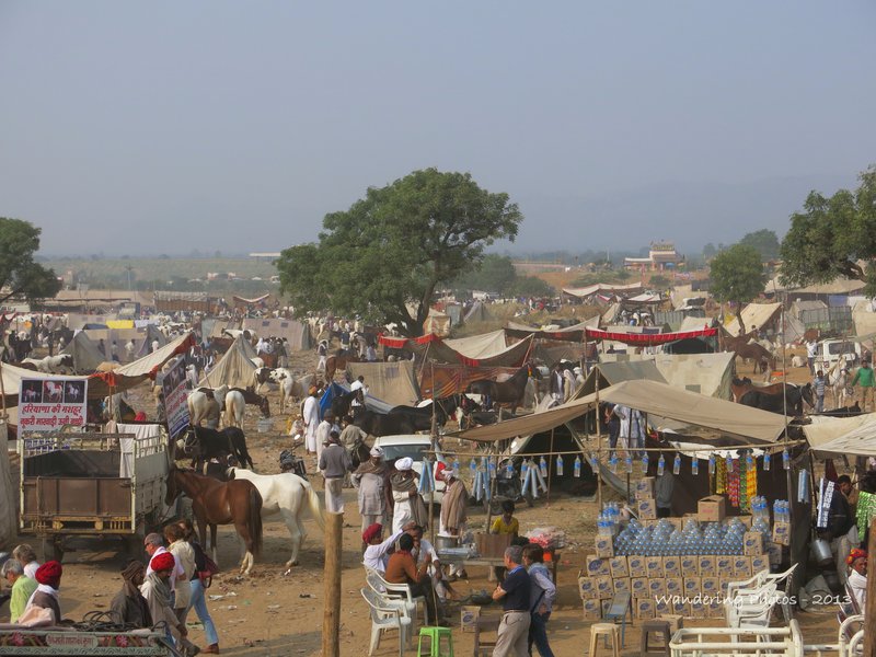 General view across the Pushkar Camel Fair