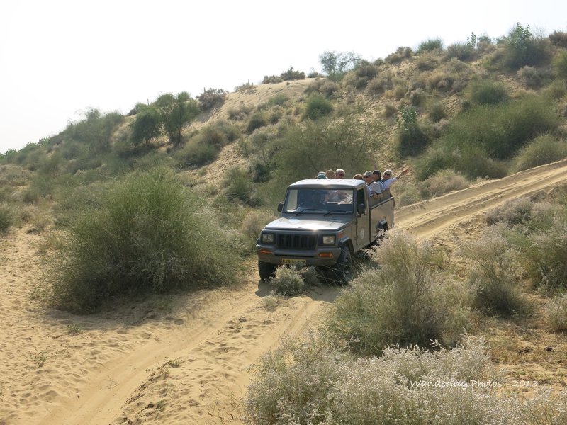 Jeep Safari in the Thar Desert