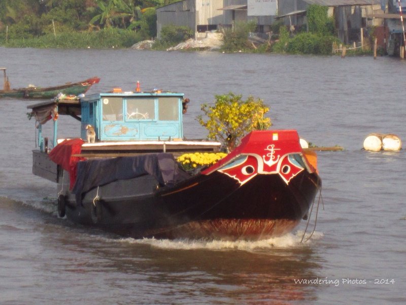 Colourful boat on the Mekong