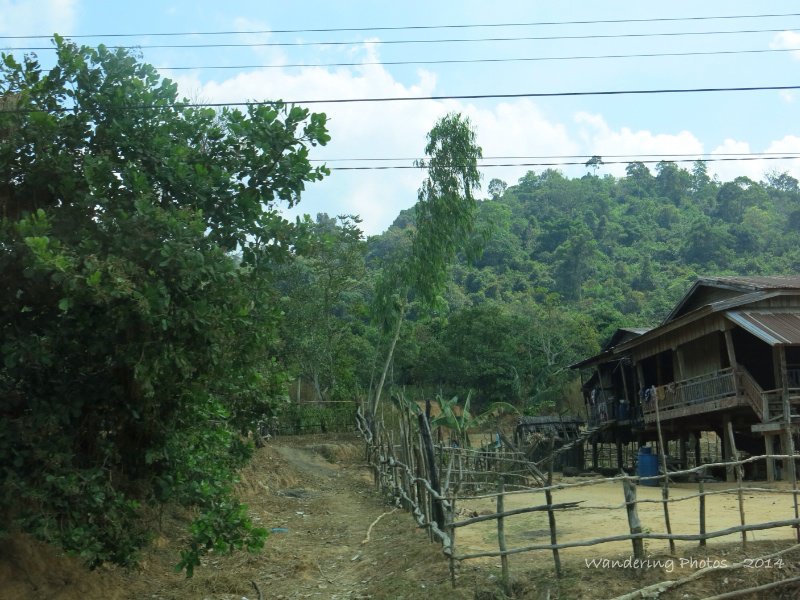 Countryside in the Cardamom Mountains - Cambodia
