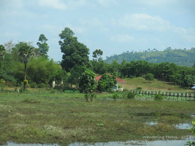 Countryside in the Cardamom Mountains - Cambodia