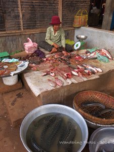 Fish for sale in a small rural vilage market - Cambodia