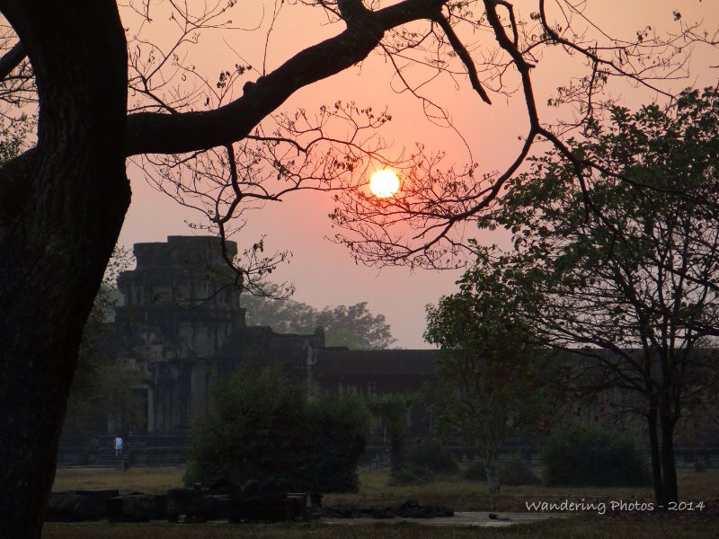 Sunset through the trees at Angkor Wat