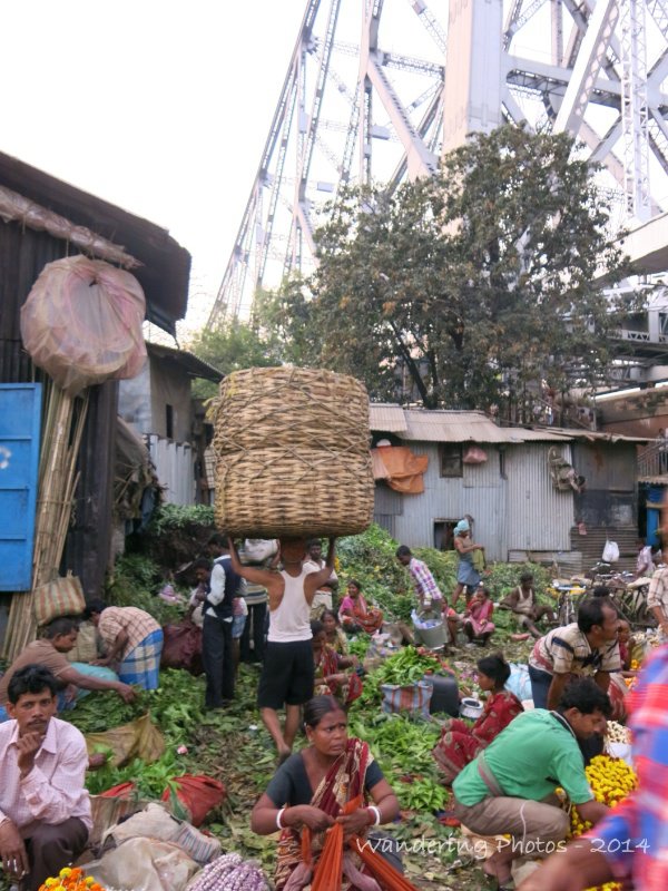 The flower market